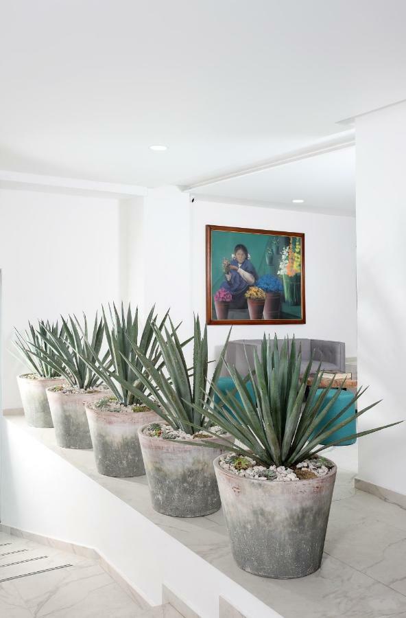 Hotel Circulo Condesa Ciudad de México Exteriér fotografie